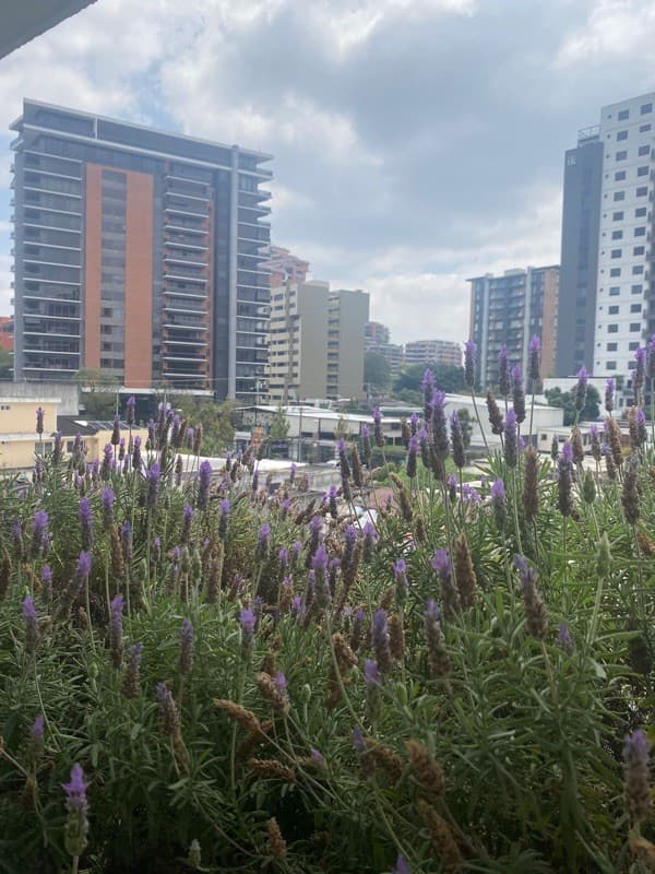 APARTAMENTO EN VENTA EN ZONA 14