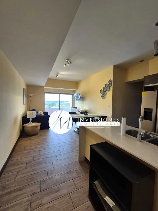 apartamento en renta en zona 10