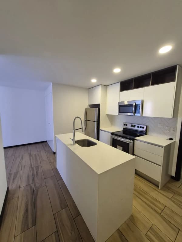 RENTO MODERNO APARTAMENTO EN ZONA 15, SECTOR DEL PARQUE, VISTA HERMOSA 1