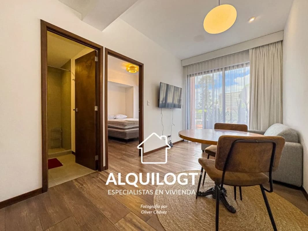 APARTAMENTO AMUEBLADO EN BRUNELO  ZONA 10 DE 1 HAB AGT2891