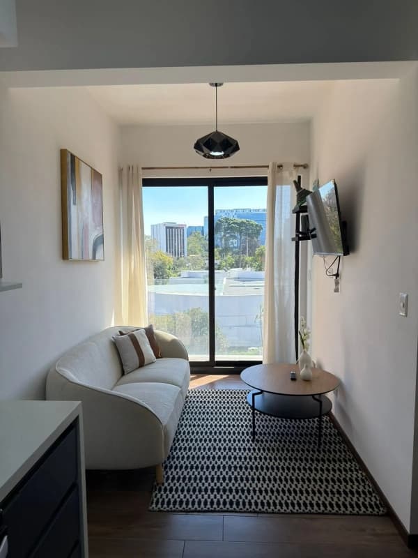 APARTAMENTO AMUEBLADO  ZONA 10 DE 2 HAB AGT2905