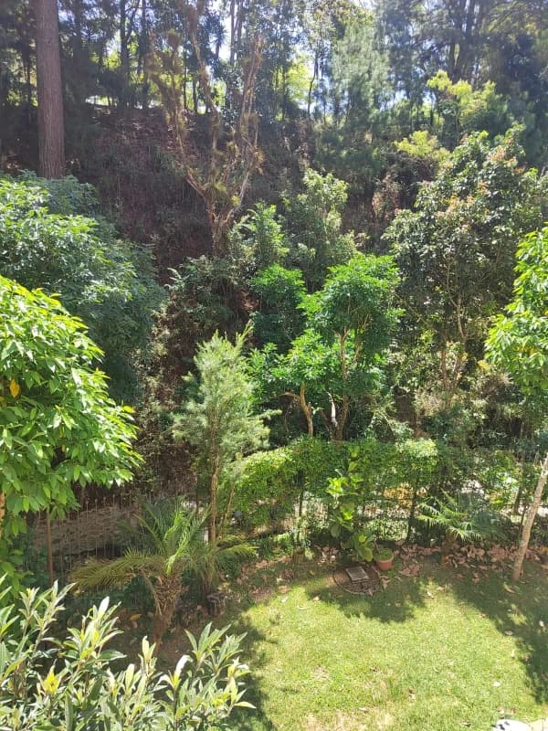 Apartamento en alquiler, Zona 16 La Montaña