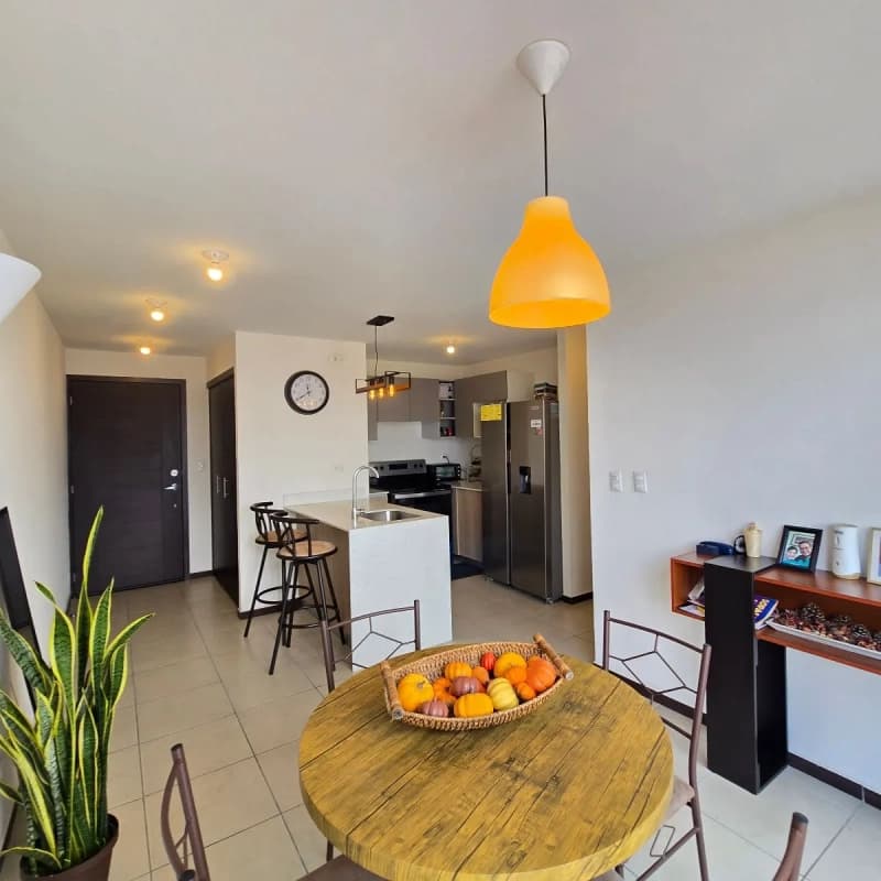 Apartamento en Renta Zona 11 Parque San Jorge