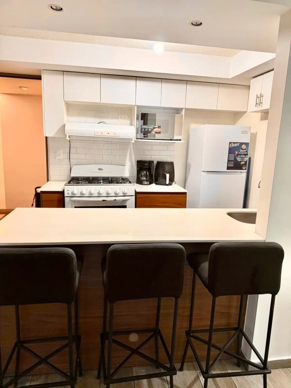 Zona 11 • Apartamento Amueblado en Renta • Edificio Aralia 1