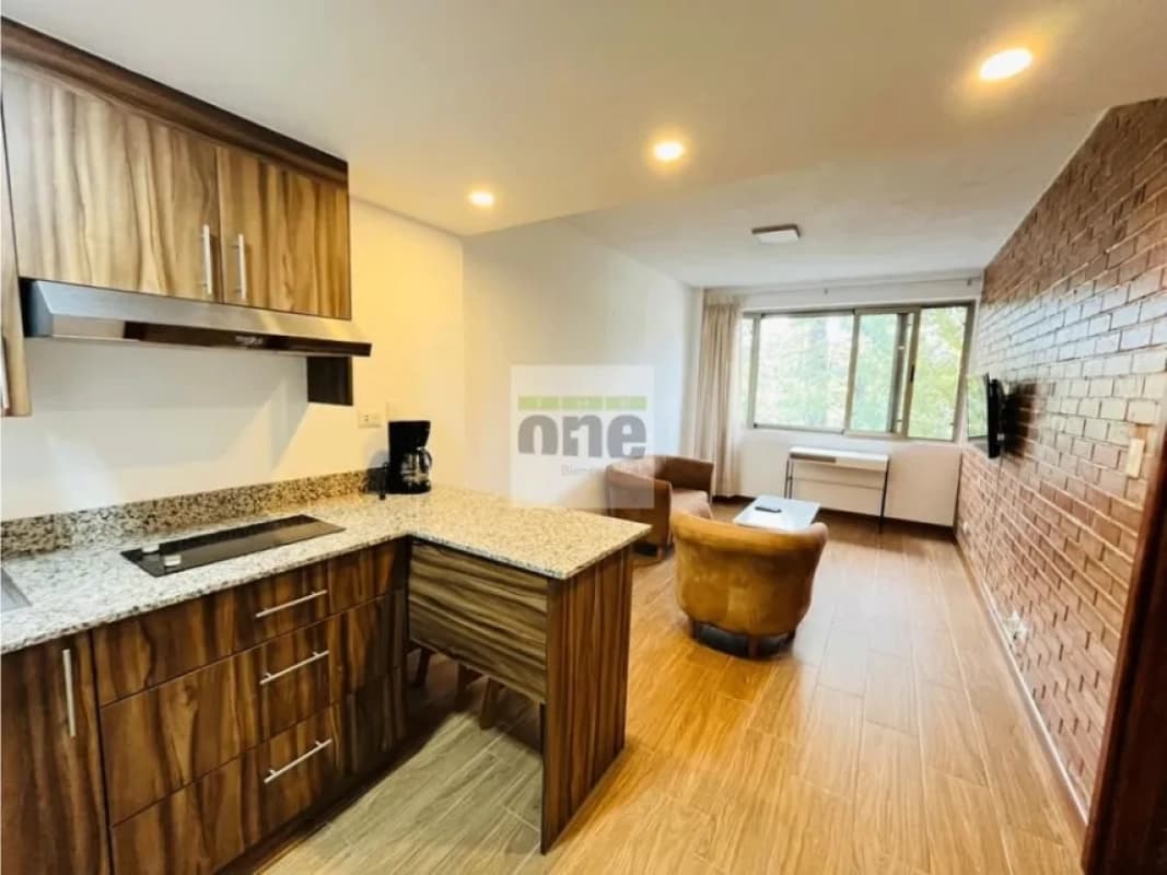 Apartamento Amueblado de 1 dormitorio en zona 14