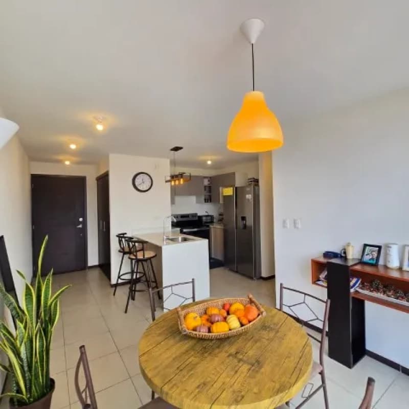 Apartamento en Renta Zona 11 Parque San Jorge (vacío)