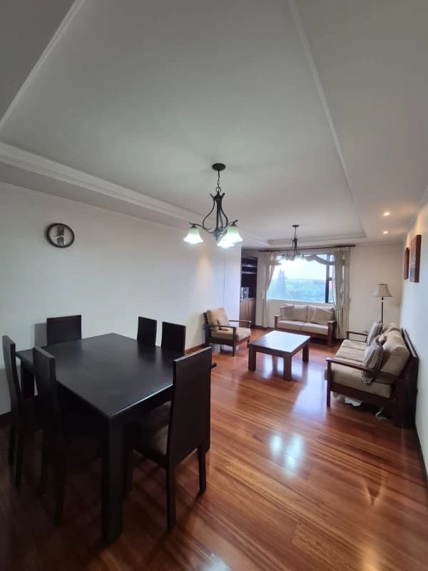 APARTAMENTO AMUEBLADO EN RENTA ZONA 10