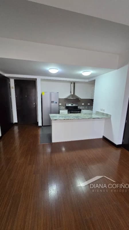 Alquiler de apartamento en zona 10, Edificio 19diez