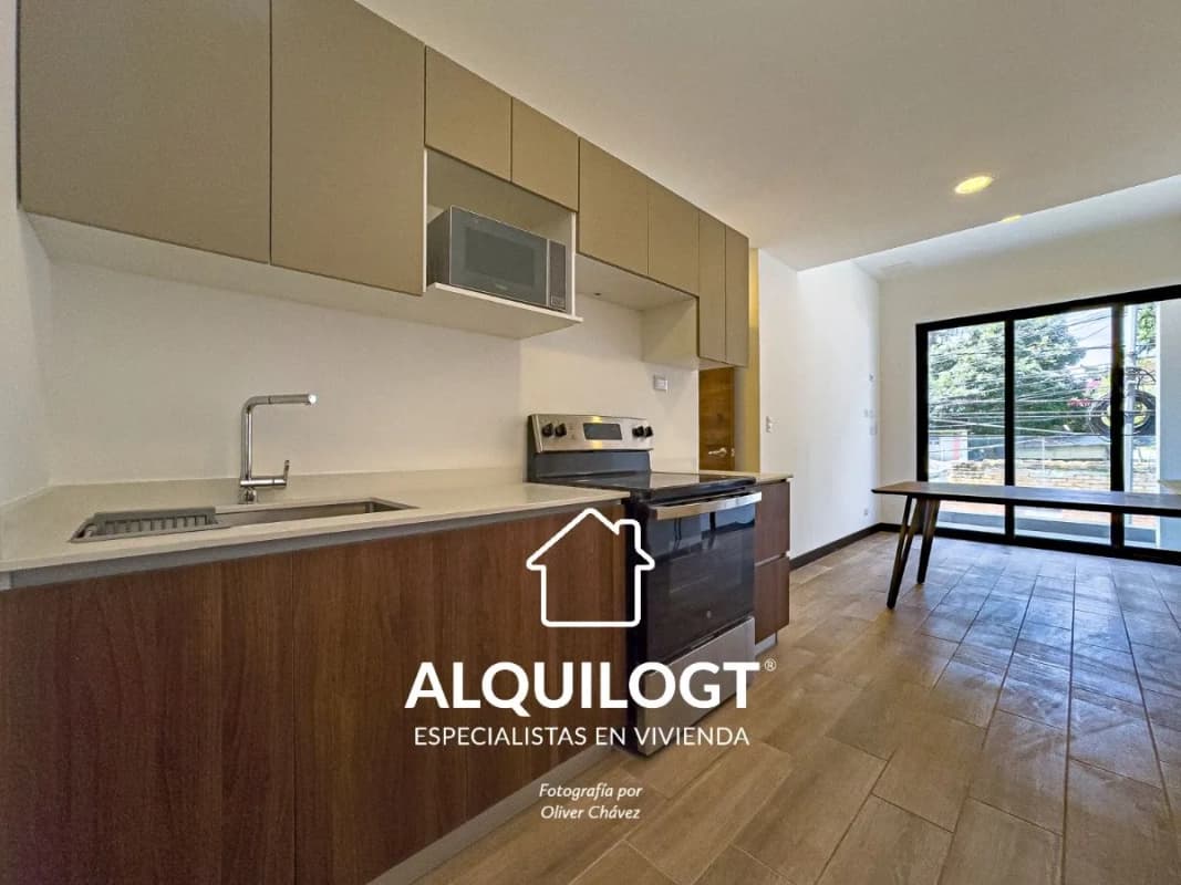 APARTAMENTO AMUEBLADO  ZONA 10 DE 1 HAB AGT2689