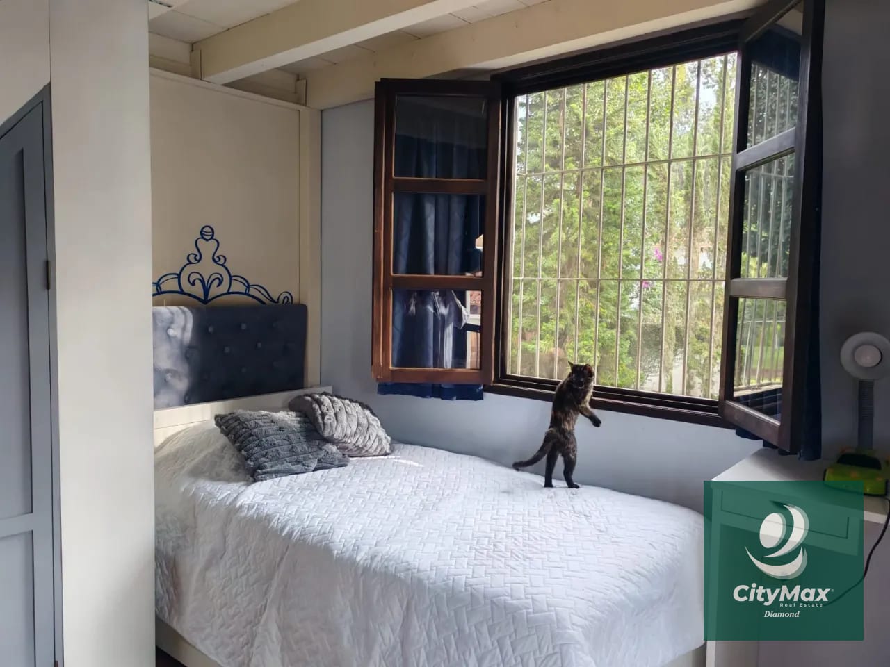 Casa en renta en Antigua Guatemala cerca del Casco — Apartamento en Alquiler en Antigua, Sacatepéquez — foto 4 de 17