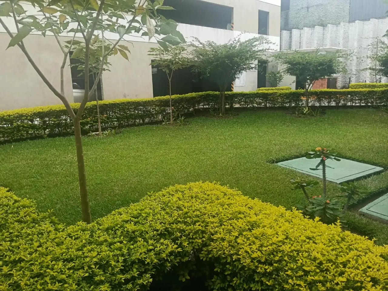 Rento Apto Zona 1, Historico 1, REF.6943 *2 Hab, Estudio, 2 Baños — Apartamento en Alquiler en Zona 1, Guatemala, Ciudad — foto 5 de 13
