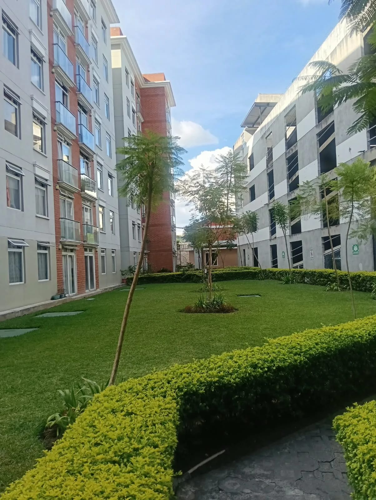 Rento Apto Zona 1, Historico 1, REF.6943 — Apartamento en Alquiler en Zona 1, Guatemala, Ciudad — foto 8 de 15