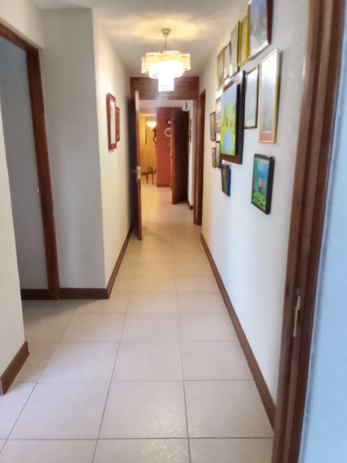 Amplio Apartamento de Tres Dormitorios en Vista Hermosa II, Zona 15 — Apartamento en Venta en María del Alma, Zona 15, Guatemala, Ciudad — foto 15 de 17