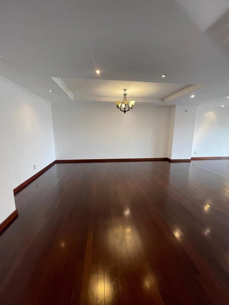 Apartamento de 2 dormitorios de 295 Mts. en zona 14 TADEUS — Apartamento en Alquiler en Zona 14, Guatemala, Ciudad — foto 6 de 16
