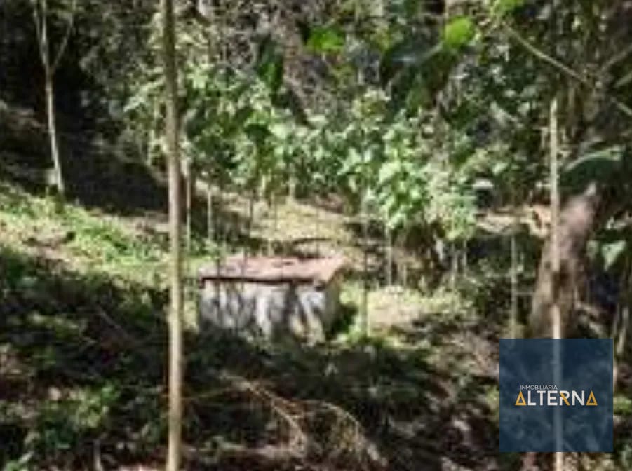 OPORTUNIDAD EN AGUA ESCONDIDA Terreno en renta para Camping o Glamping — Apartamento en Alquiler en Tecpán, Chimaltenango — foto 5 de 12