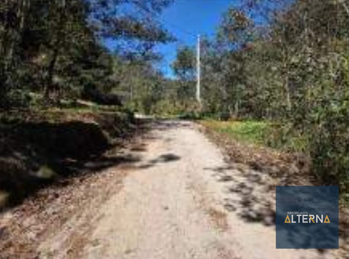 OPORTUNIDAD EN AGUA ESCONDIDA Terreno en renta para Camping o Glamping — Apartamento en Alquiler en Tecpán, Chimaltenango — foto 9 de 12