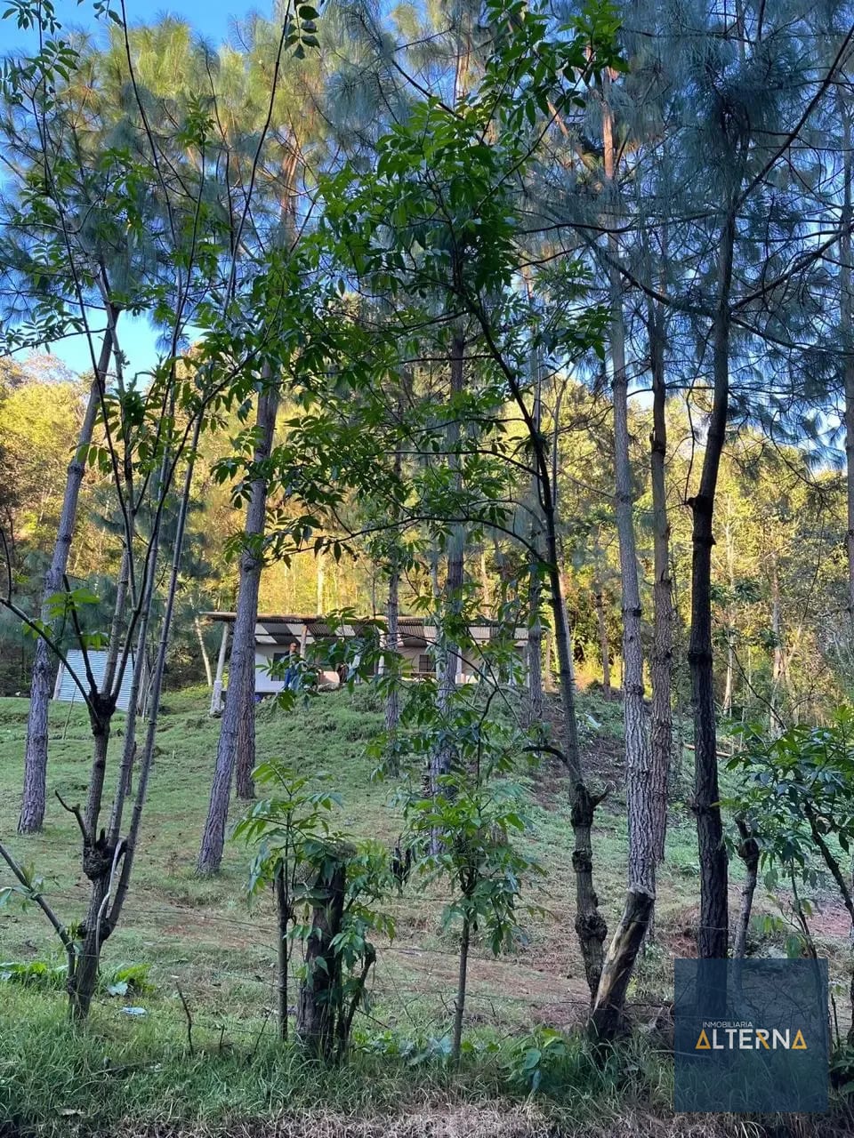 OPORTUNIDAD EN AGUA ESCONDIDA Terreno en renta para Camping o Glamping — Apartamento en Alquiler en Tecpán, Chimaltenango — foto 11 de 12