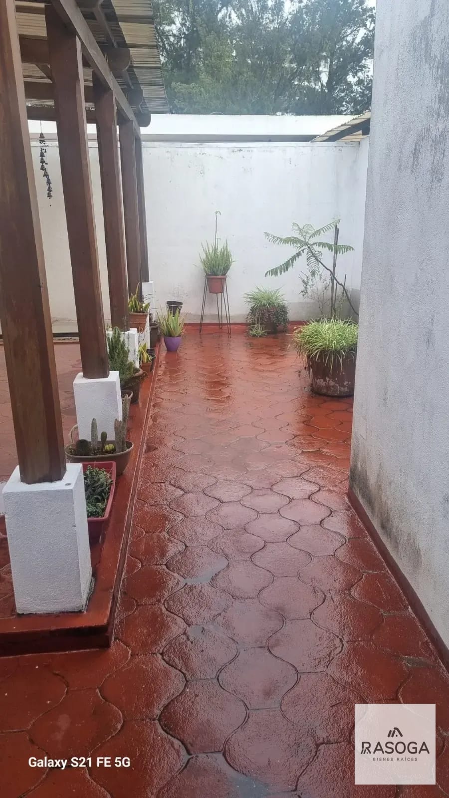 APARTAMENTO EN RENTA EN ZONA 15 — Apartamento en Alquiler en Vista Hermosa II, Zona 15, Guatemala, Ciudad — foto 1 de 7