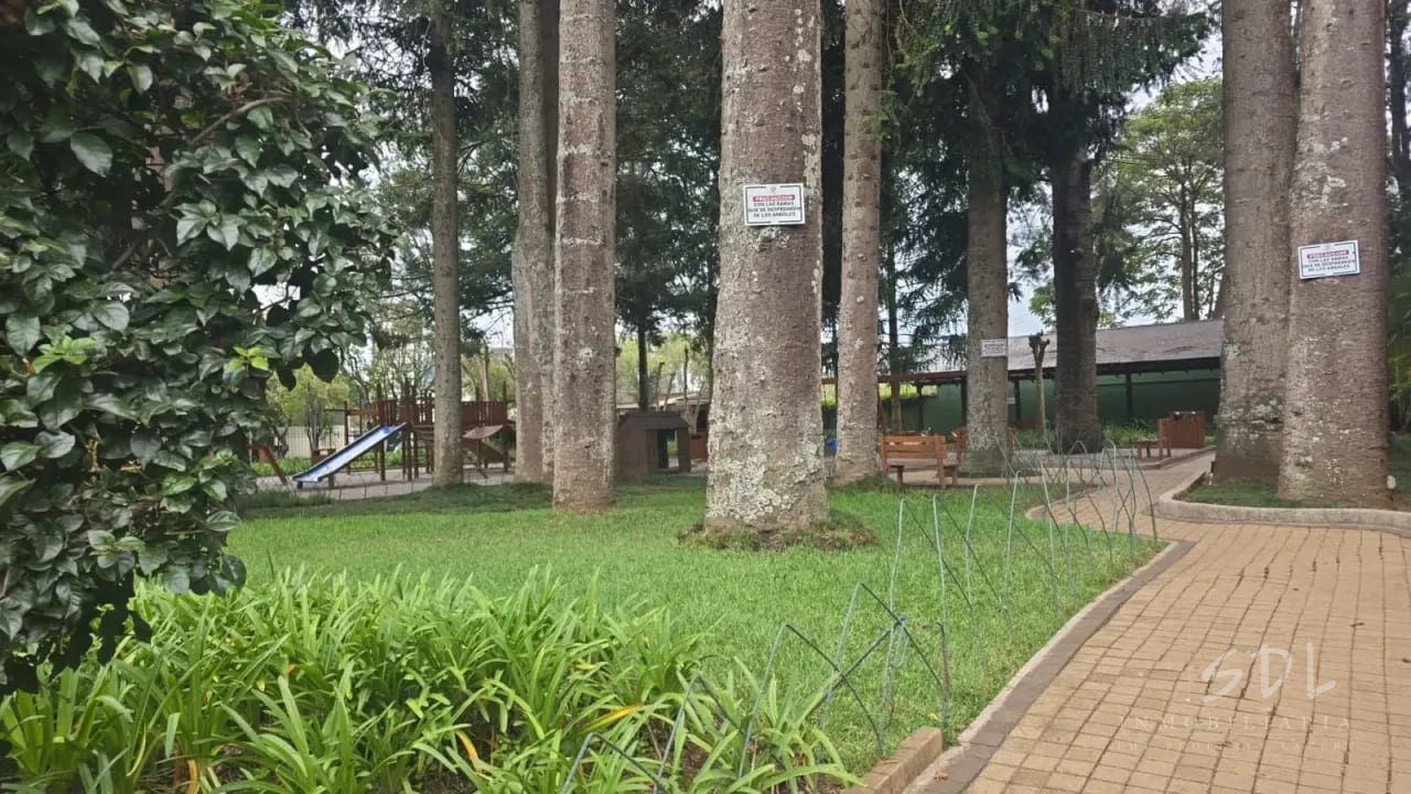 Zona 10 Oakland — Apartamento en Alquiler en Oakland I, Zona 10, Guatemala, Ciudad — foto 4 de 7