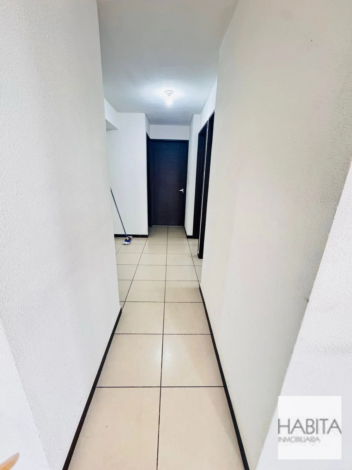 Apartamento en Renta en Parque 11, Colonia Mariscal zona 11 - 5