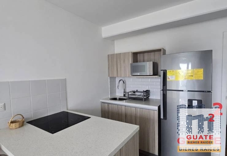 Apartamento en Renta, Zona 13 — Apartamento en Alquiler en Zona 13, Guatemala, Ciudad — foto 4 de 8