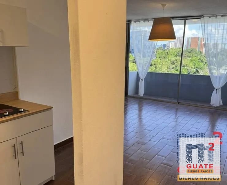 Apartamento en Renta, Zona 09 — Apartamento en Alquiler en Zona 9, Guatemala, Ciudad — foto 10 de 10