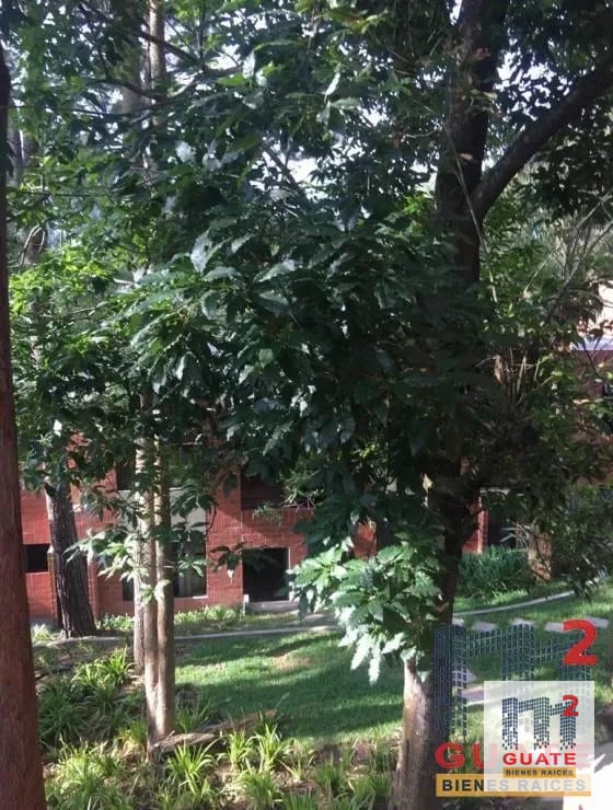 Apartamento en Renta, Santa Catarina Pinula — Apartamento en Alquiler en Santa Catarina Pinula, Guatemala, Ciudad — foto 9 de 11