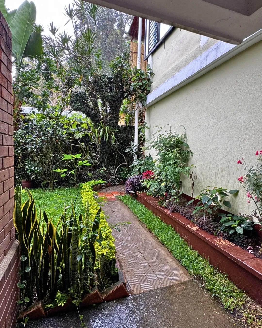 APARTAMENTO EN RENTA ZONA 7 (CIUDAD DE PLATA 1) — Apartamento en Alquiler en Ciudad de Plata, Zona 7, Guatemala, Ciudad — foto 8 de 10