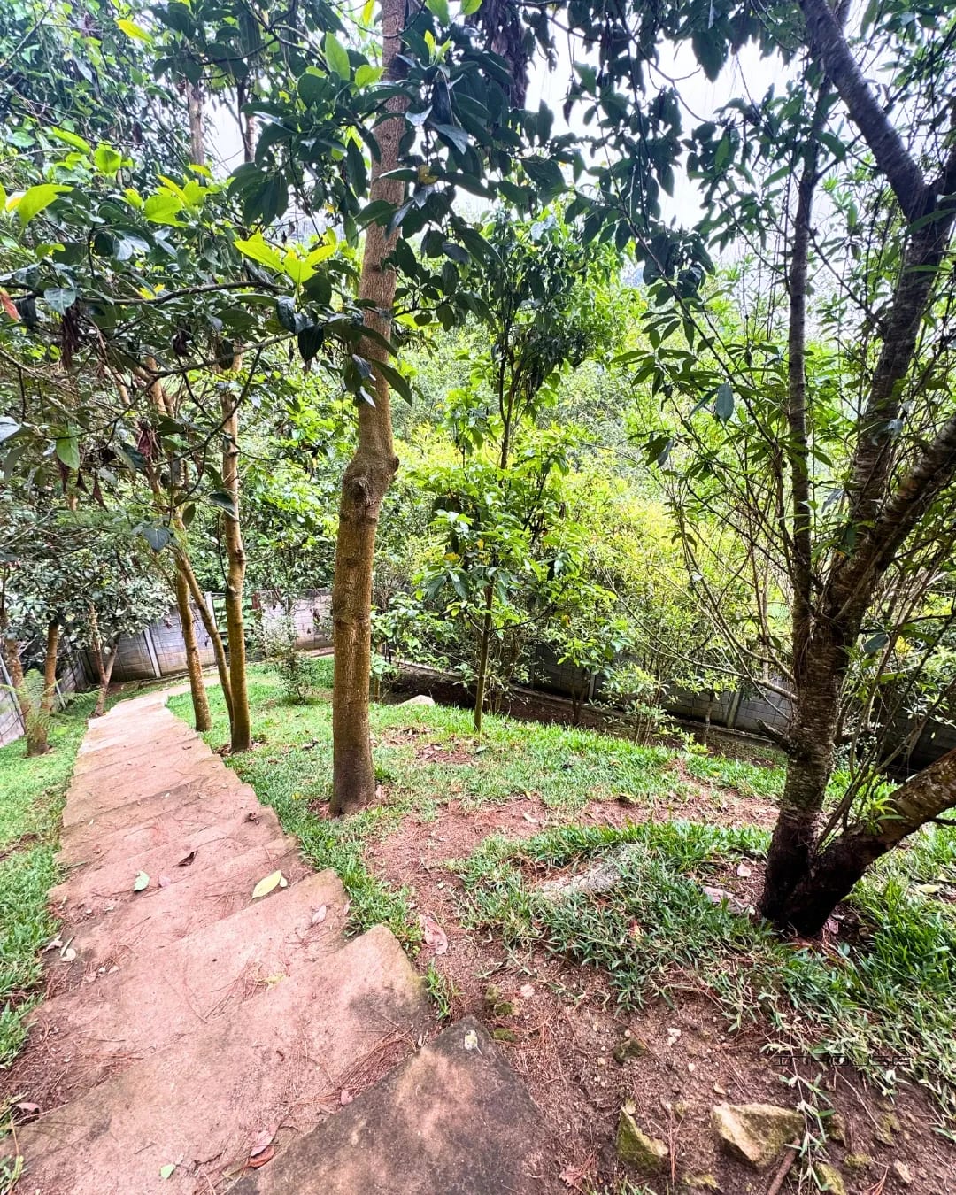 Apartamento en Venta Zona 16 Bosques de Euskadi — Apartamento en Venta en Zona 16, Guatemala, Ciudad — foto 5 de 13