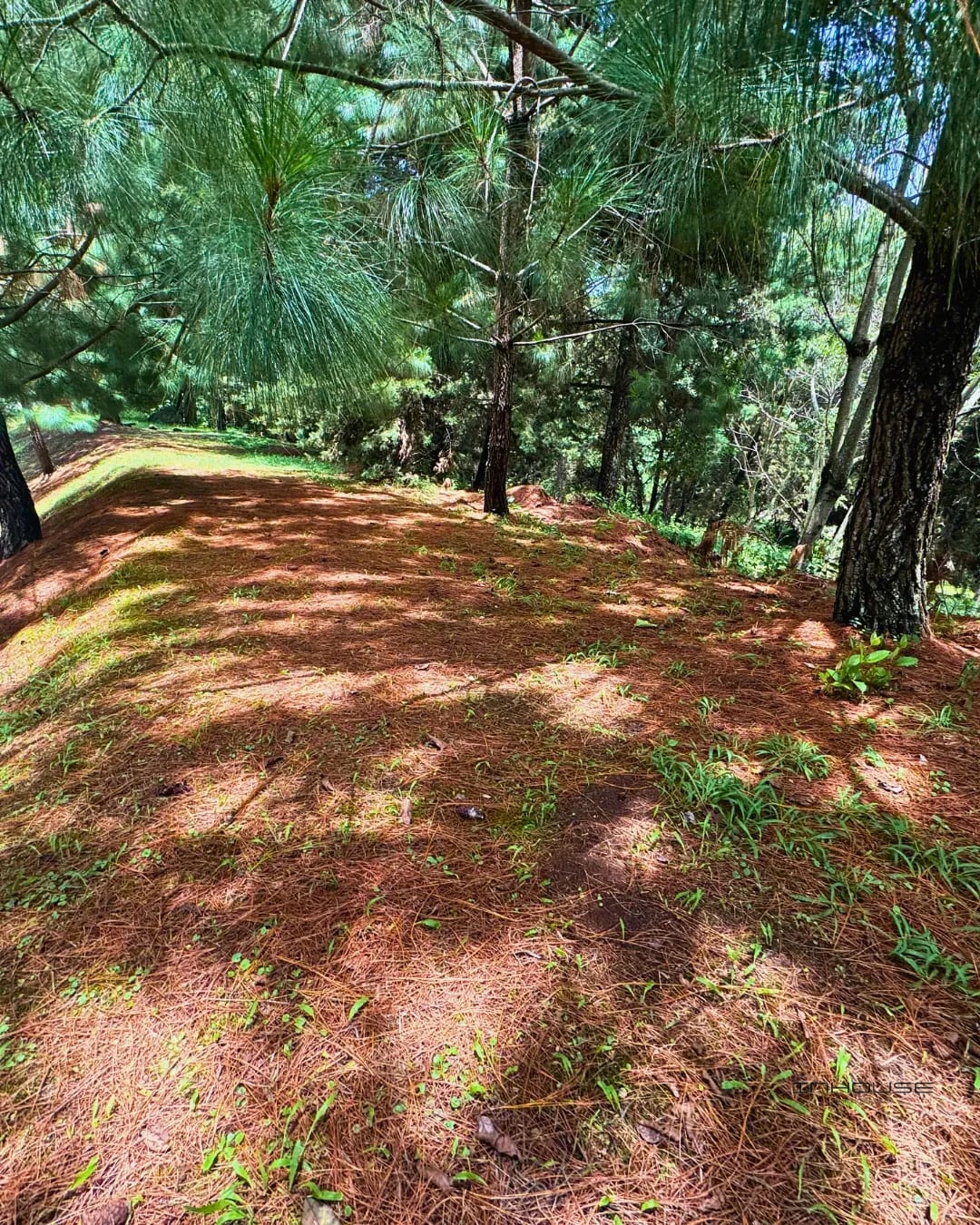 Terreno en Venta Zona 16, la Reserva - el Pulté — Apartamento en Venta en El Pulté, Zona 16, Guatemala, Ciudad — foto 1 de 10
