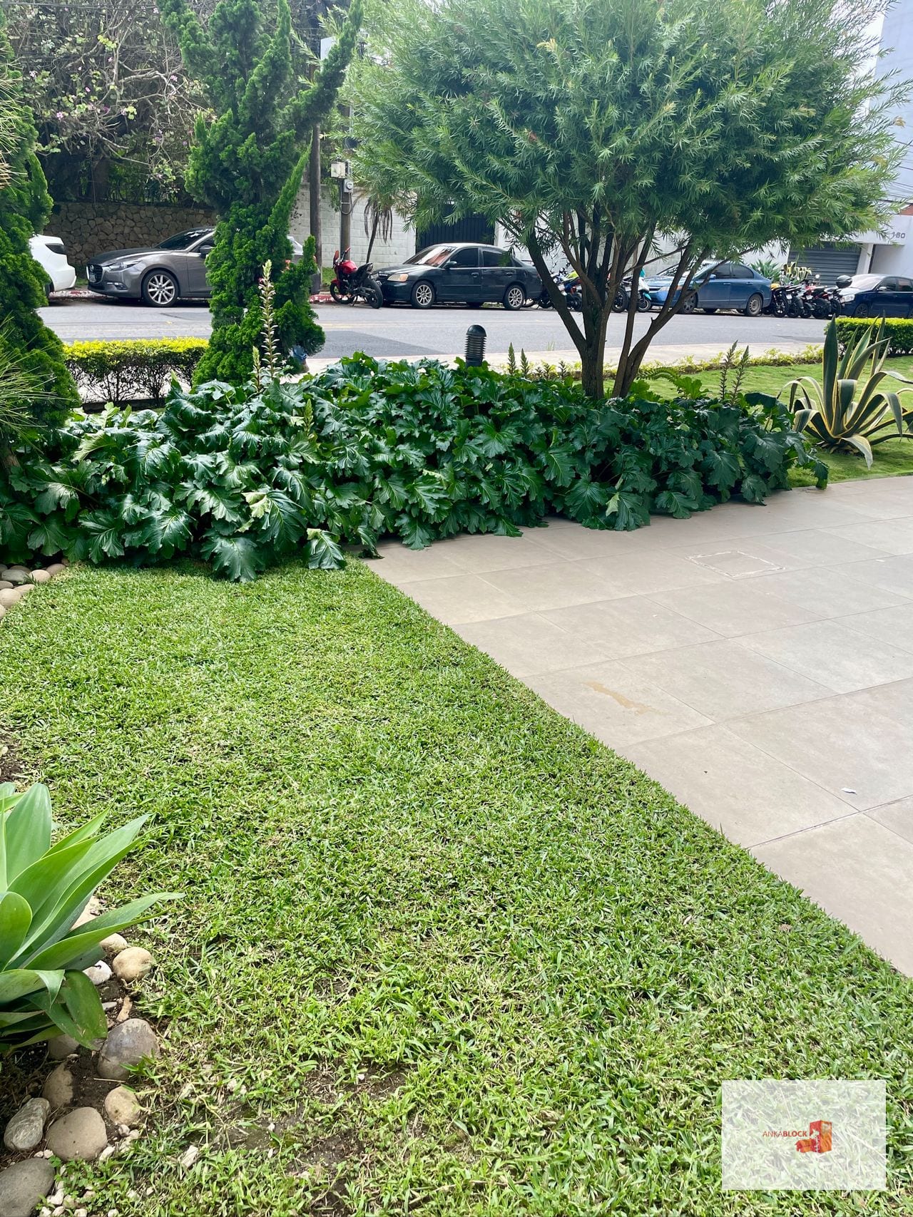 En nivel bajo — Apartamento en Venta en Álbero 15, Zona 15, Guatemala, Ciudad — foto 8 de 12
