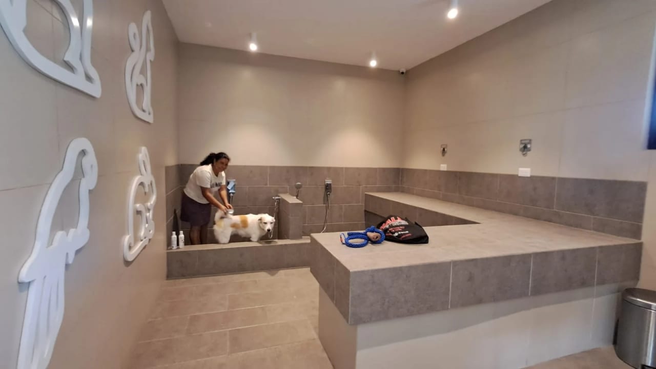 Apartamento en Renta Zona 15 cod. CA36866 — Apartamento en Alquiler en Zona 15, Guatemala, Ciudad — foto 14 de 17