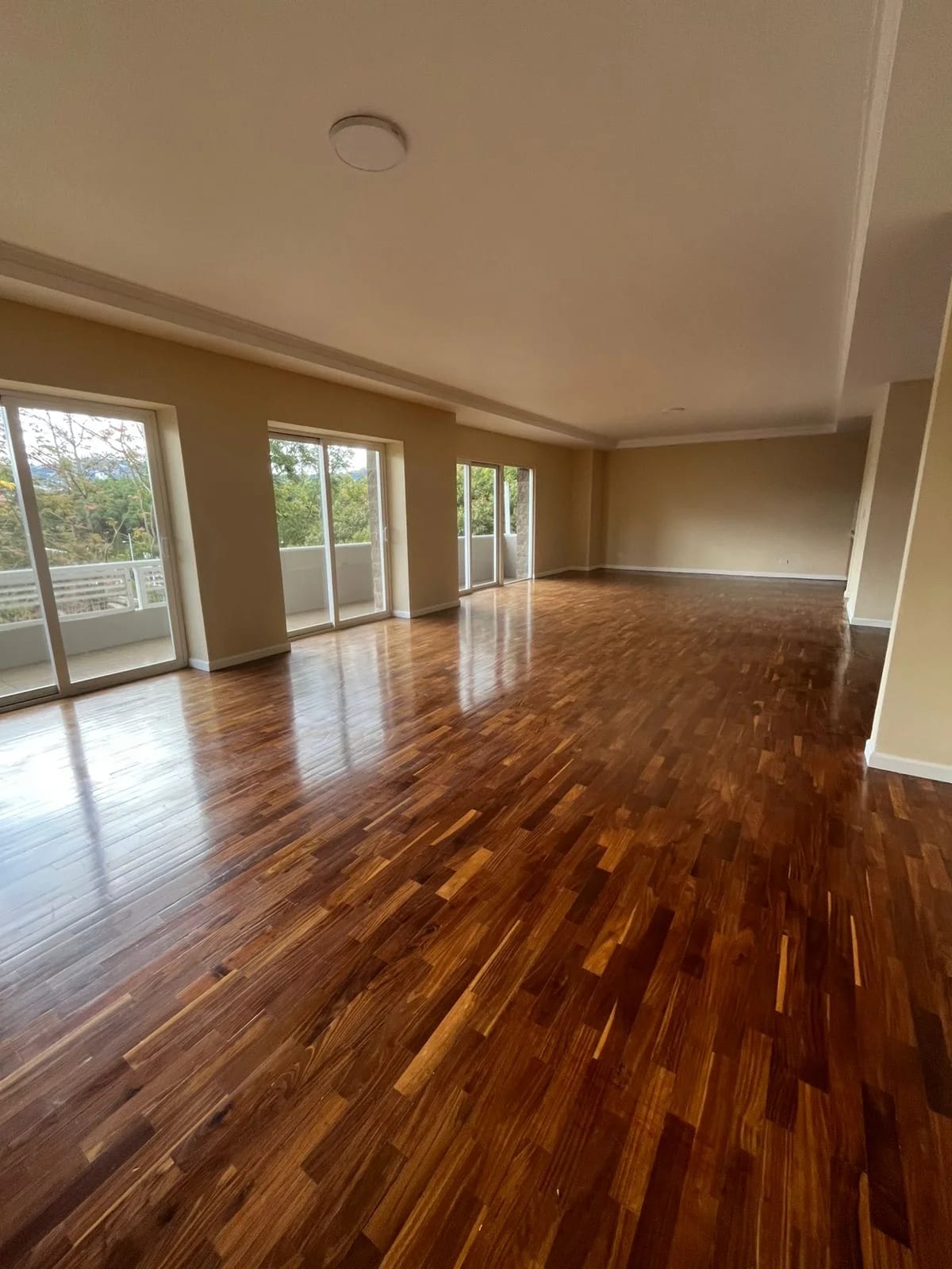 Apartamento en Renta – Zona 14 — Apartamento en Alquiler en Terranova, Zona 14, Guatemala, Ciudad — foto 1 de 12