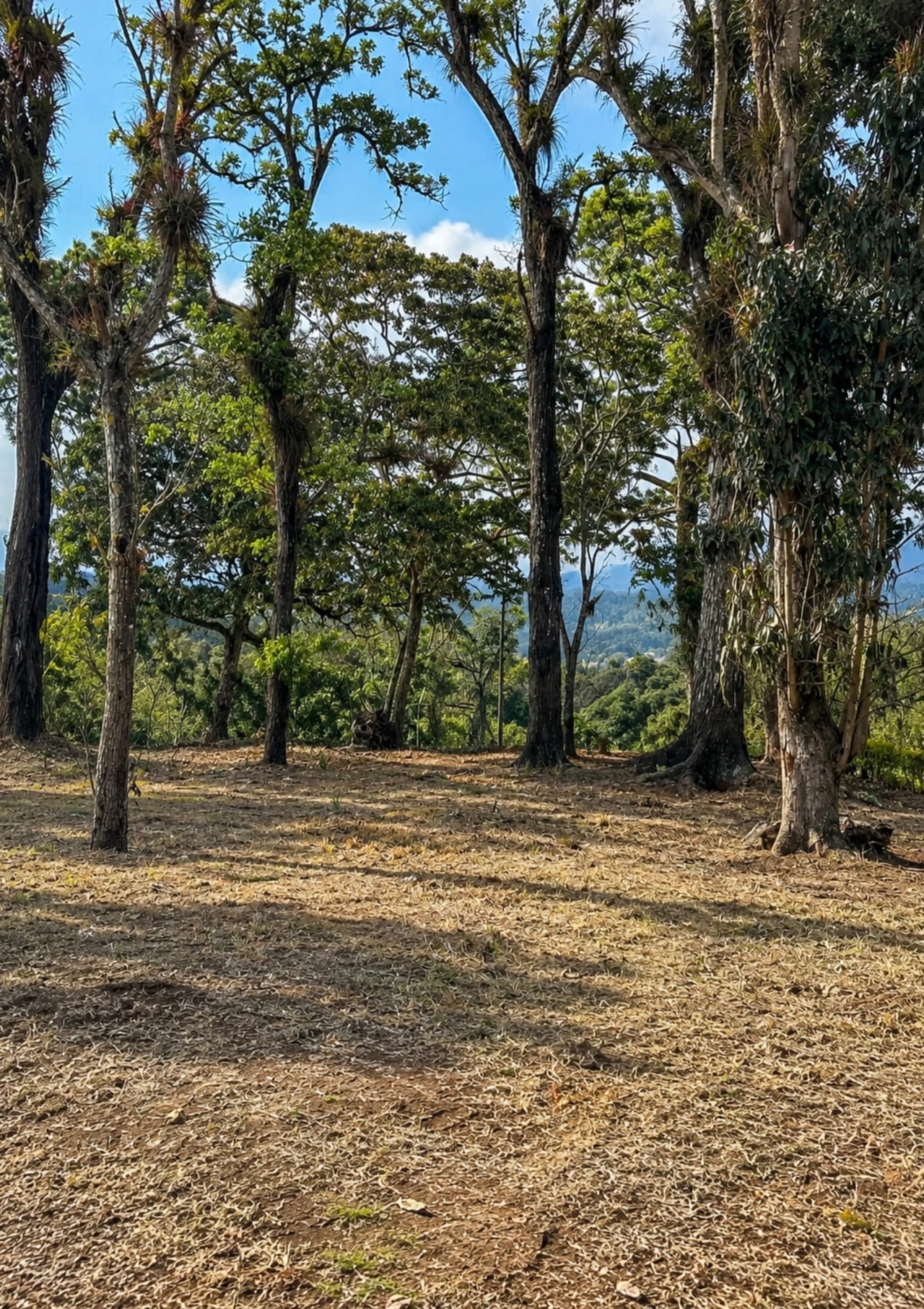 Terreno en Venta Jardines de San Isidro - Zona 16 â Terreno en Venta en Jardines de San Isidro, Zona 16, Guatemala, Ciudad â foto 4 de 6