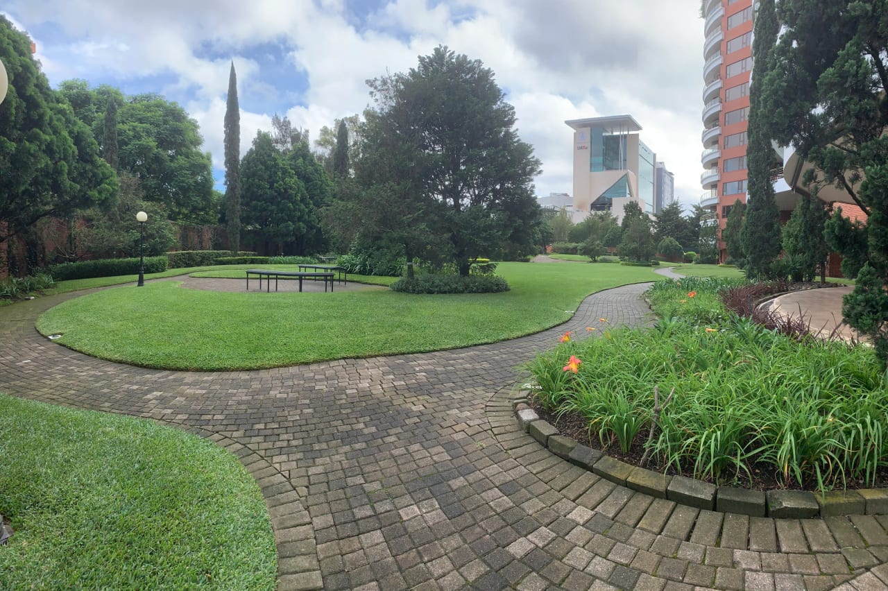 Apartamento en Renta en Tadeus, Zona 14 — Apartamento en Alquiler en Tadeus, Zona 14, Guatemala, Ciudad — foto 14 de 17