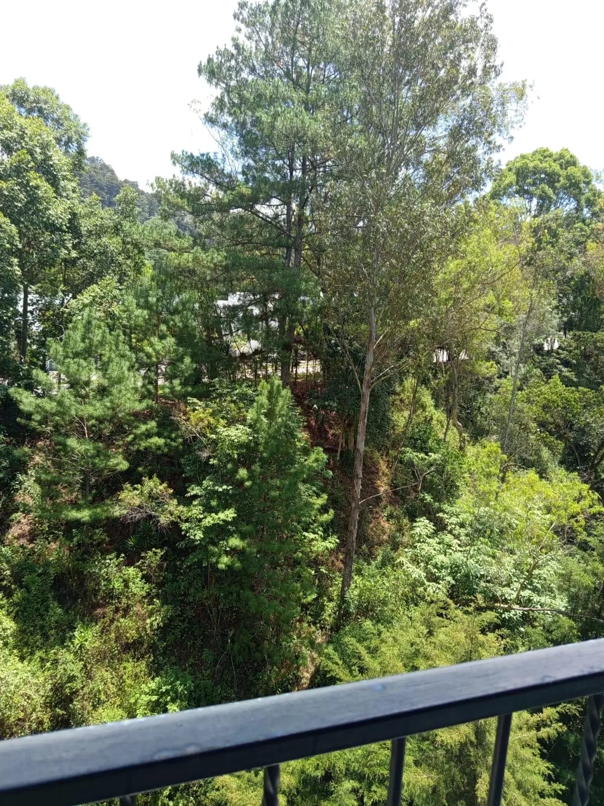 Disponible para Renta - Zona 16 Ideal para Estudiantes — Apartamento en Alquiler en Zona 16, Guatemala, Ciudad — foto 7 de 14