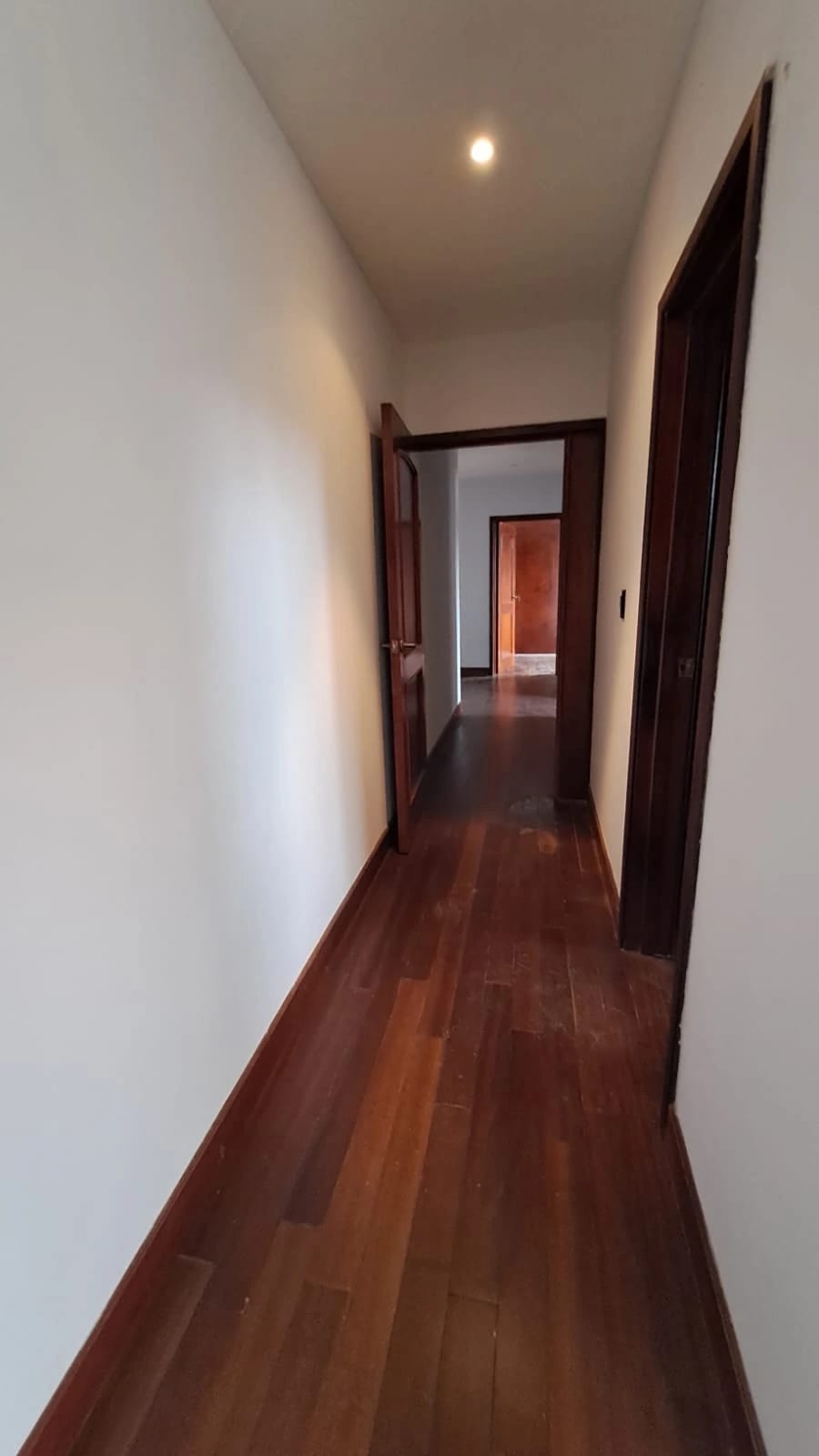 Amplio Apartamento en Alquiler – Oakland, Zona 10 — Apartamento en Alquiler en Zona 10, Guatemala, Ciudad — foto 5 de 15