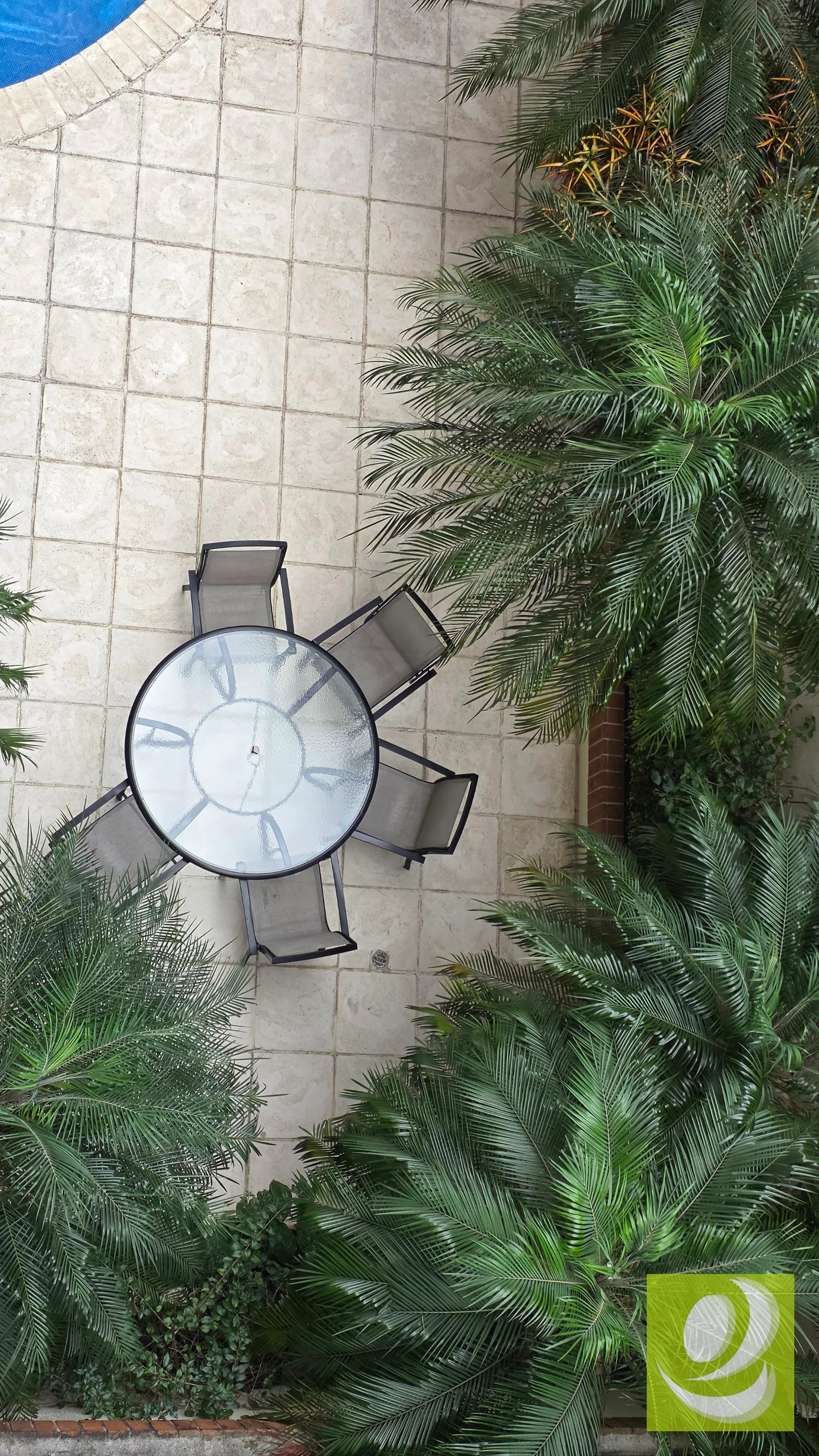 ✨ APARTAMENTO EN RENTA O VENTA, ZONA 14 ✨ — Apartamento en Alquiler en Zona 14, Guatemala, Ciudad — foto 4 de 7