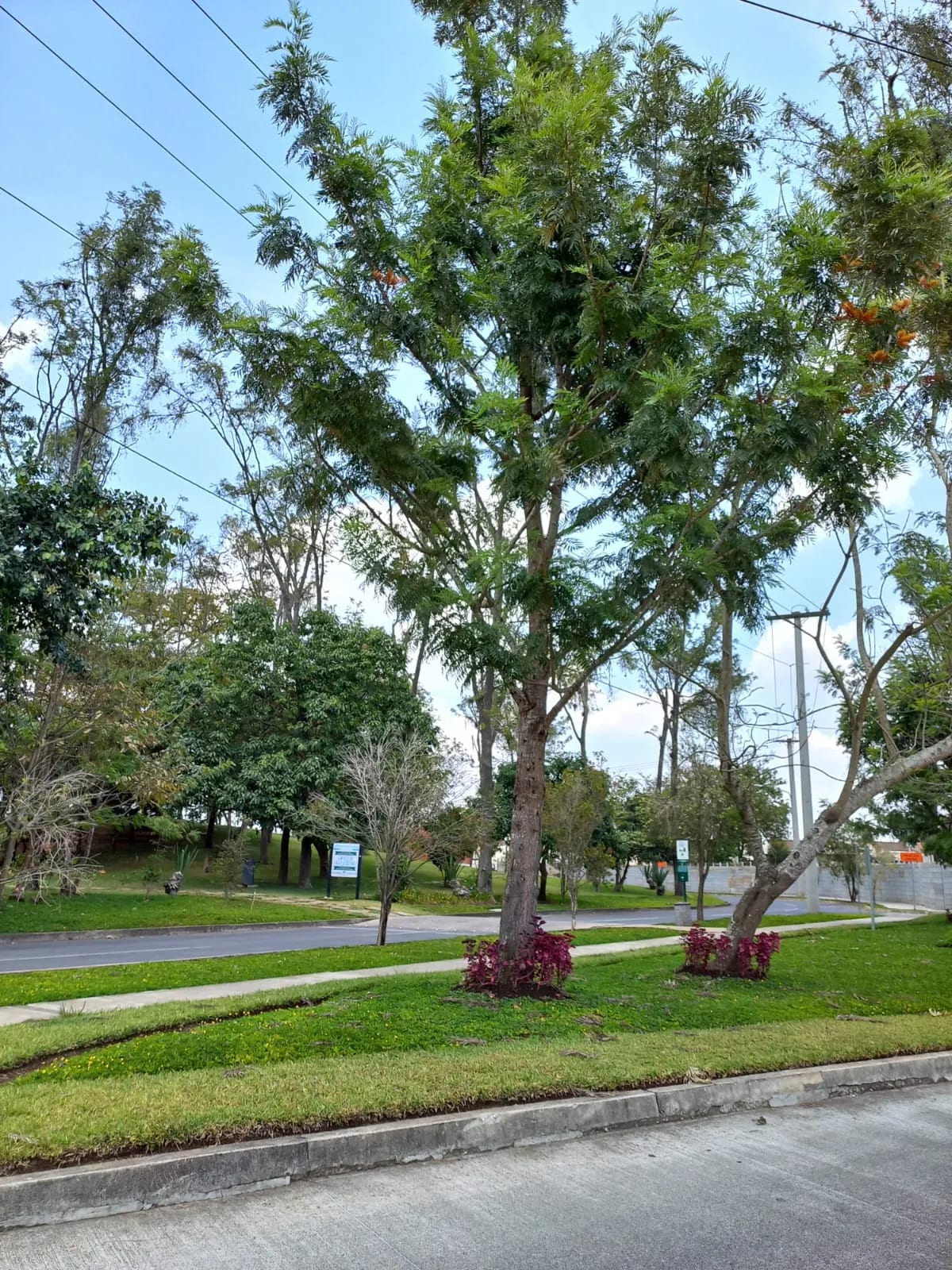 Apartamento en venta en Condado Naranjo — Apartamento en Venta en Condado Naranjo, Zona 4 Mixco, Guatemala, Ciudad — foto 17 de 17