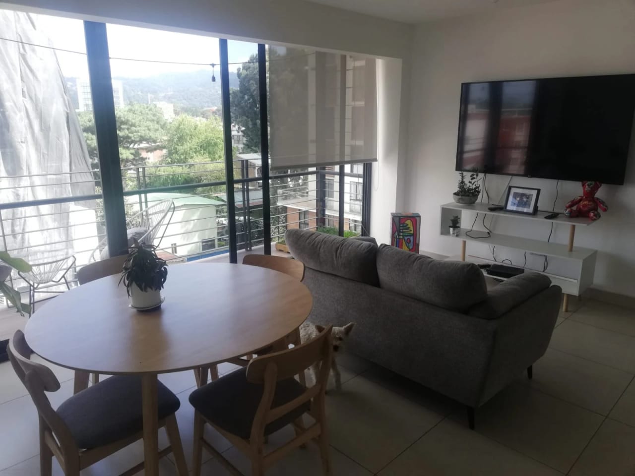 Apartamento en Venta o Renta Excelente Ubicación — Apartamento en Venta en Be14, Zona 14, Guatemala, Ciudad — foto 14 de 17