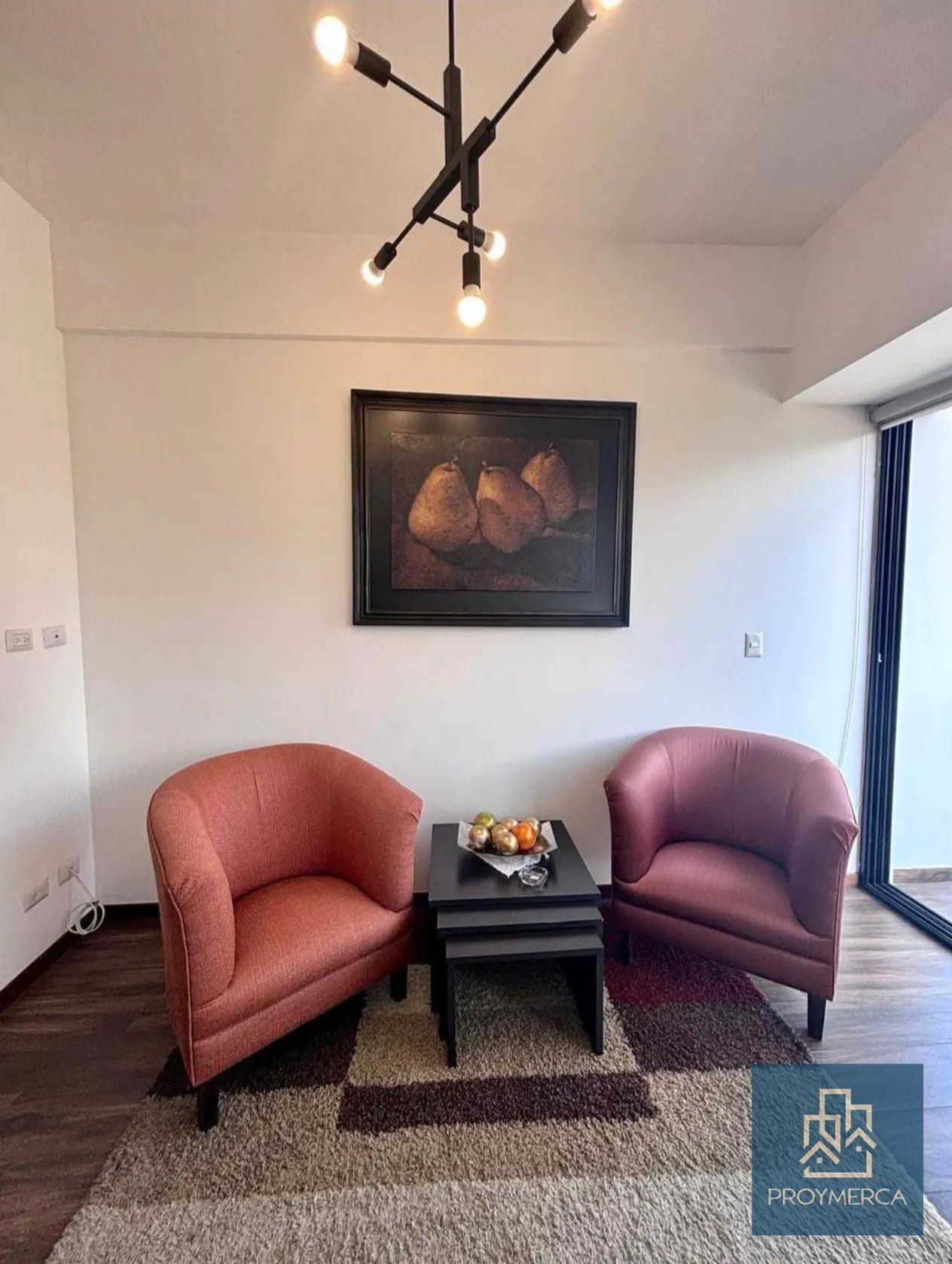 Apartamento Amueblado en Alquiler zona 10 — Apartamento en Alquiler en Casa Clara, Zona 10, Guatemala, Ciudad — foto 4 de 11