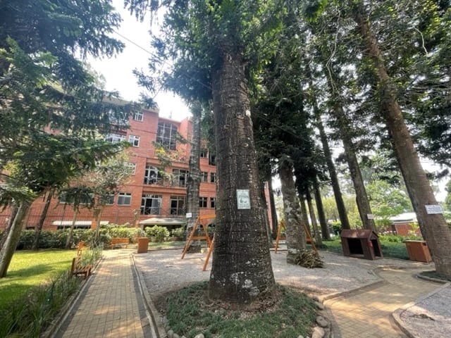 Rento apartamento en Zona 10 OAKLAND EDIFICIO EXCLUSIVO — Apartamento en Alquiler en Zona 10, Guatemala, Ciudad — foto 17 de 17