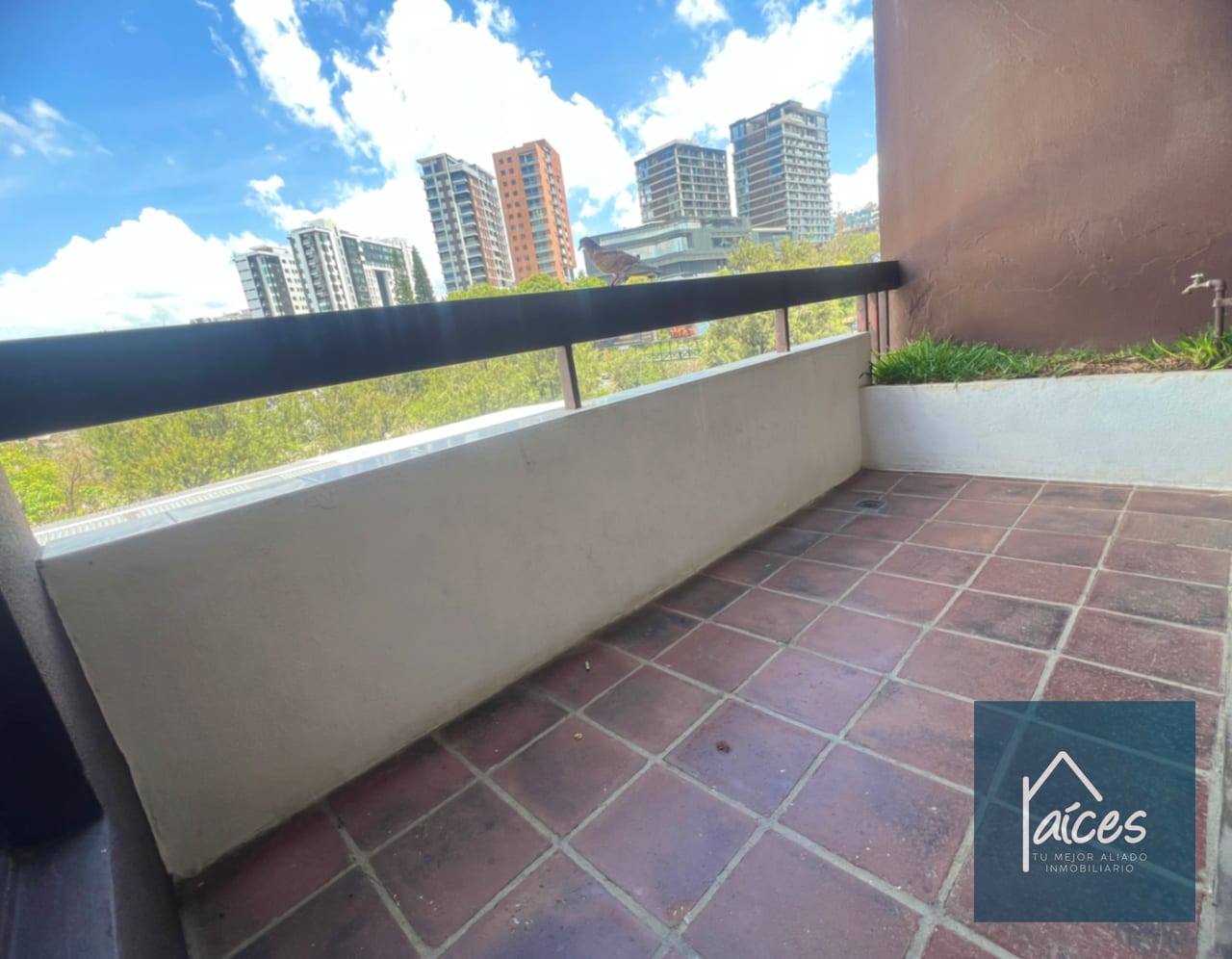Apartamento en Venta VISTA HERMOSA 2 Zona 15 ( D) — Apartamento en Venta en Vista Hermosa II, Zona 15, Guatemala, Ciudad — foto 4 de 17