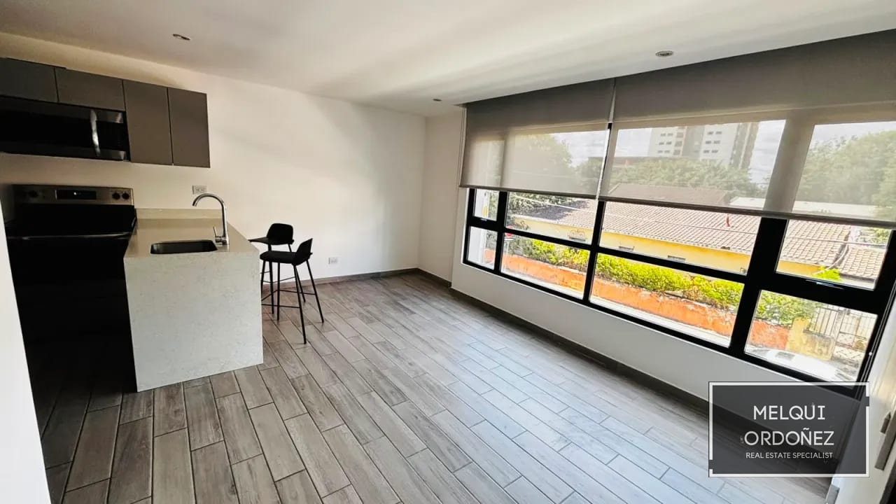 Excelente oportunidad de inversión en Zona 10 — Apartamento en Venta en Parque 10, Zona 10, Guatemala, Ciudad — foto 3 de 16