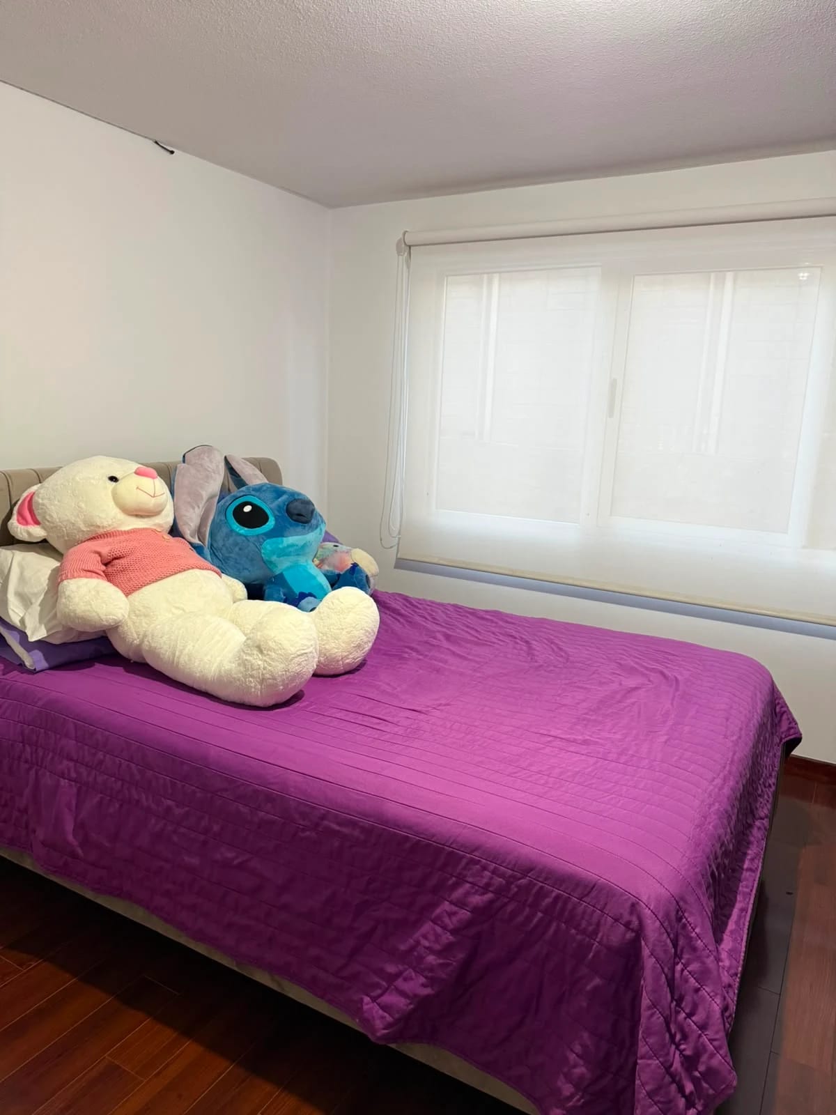 Alquilo apartamento en Bosques de Euskadi zona 16 — Apartamento en Alquiler en Zona 16, Guatemala, Ciudad — foto 11 de 15
