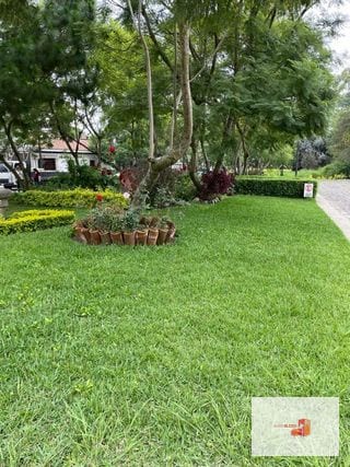 Casita en Antigua / amueblada — Apartamento en Alquiler en Antigua, Sacatepéquez — miniatura 3 de 16
