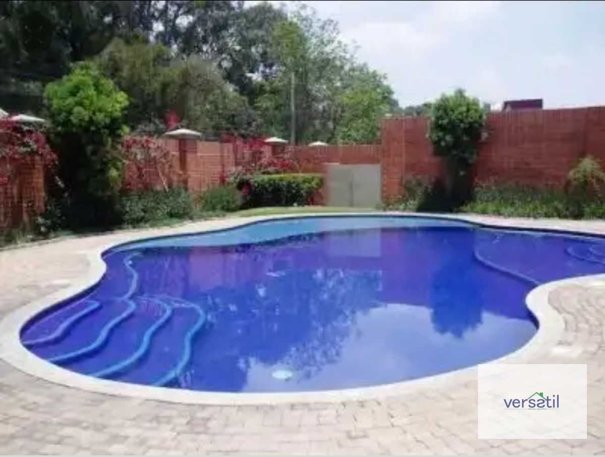 Excelente Apartamento TADEUS Alquiler - 2