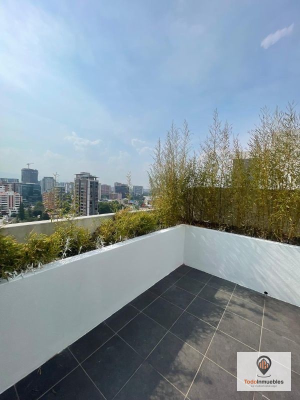 Apartamento Penthouse en Renta en Edificio Verona z10 - 9