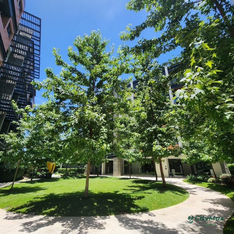 Apartamento Amueblado en Renta o Venta Zona 10 - 1