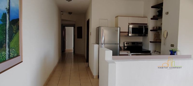 ZONA 14- APARTAMENTO AMUEBLADO EN RENTA - 4